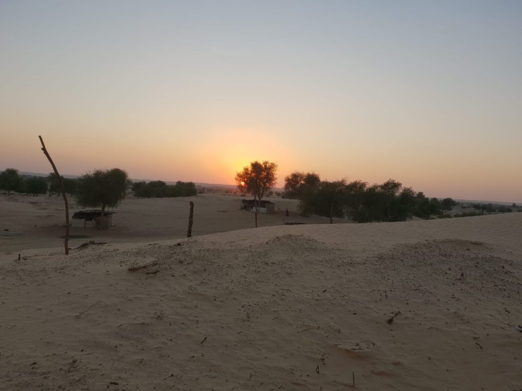 sunset at the wahiba sands desert in Oman