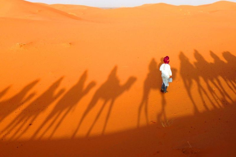 wahiba sands desert in oman