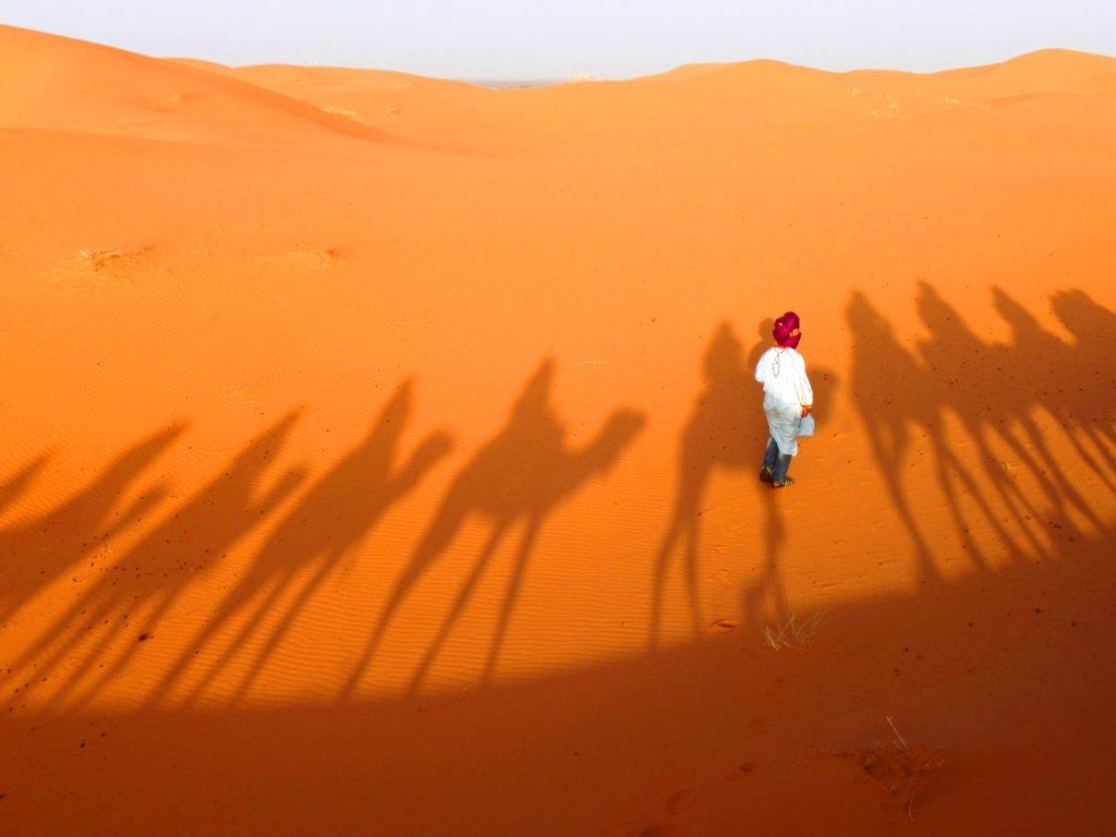 wahiba sands desert in oman