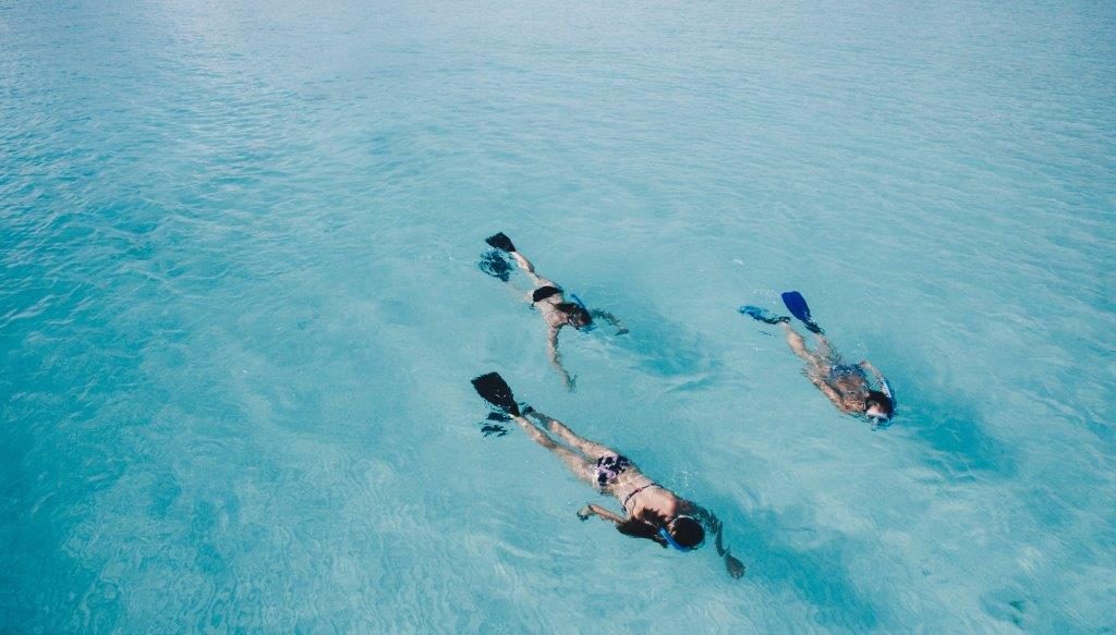 Snorkeling at best Maldives liveaboard trip