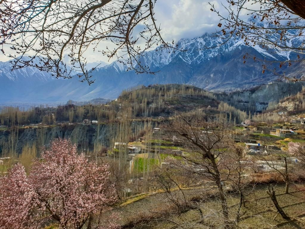 Altit Fort - Cherry blossom in Hunza