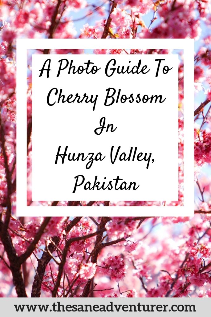 Cherry blossom in Hunza valley of Pakistan turns the whole valley into a magical fairy tale land. Check out my photo guide on how to spot cherry blossom in Hunza valley of Pakistan. #cherryblossom #hunza #pakistantravel #cherryblossominpakistan #hunzavalley
