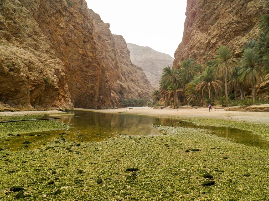 wadis in Oman- wadi tiwi