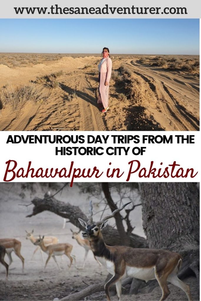 Guide on the things to do in Bahawalpur and the adventurous day trips to take from Bahawalpur in Pakistan #whattodoinpakistan #thingstodoinpakistan #pakistantravel